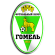 Zur Homepage des FK Gomel