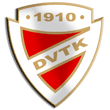 Zur Homepage der Di&oacute;sgy&ouml;ri VTK