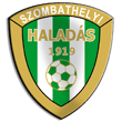 Zur Homepage des VSE Halad&aacute;s Szombathelyi