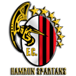 Zur Homepage der Hamrun Spartans