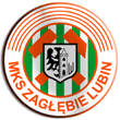 Zur Homepage von KGHM Zaglebie Lubin