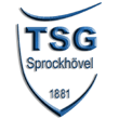 Zur Homepage der TSG Sprockh&ouml;vel
