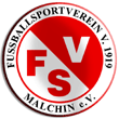 Zur Homepage des FSV Malchin