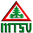 Zur Homepage des MTSV Hohenwestedt