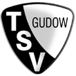 Zur Homepage des TSV Gudow