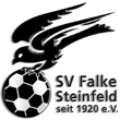Zur Homepage des SV Falke Steinfeld
