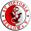 Zur Homepage des SV Victoria Seelow