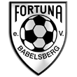 Zur Homepage von Fortuna Babelsberg