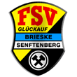 Zur Homepage des FSV GL&Uuml;CK AUF Brieske-Senftenberg