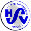Zur Homepage des Hasper SV