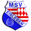 Zur Homepage des MSV Eisleben