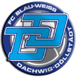 Zur Homepage des FC Dachwig-D&ouml;llst&auml;dt