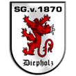 Zur Homepage der SG Diepholz