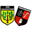 Zur Homepage der SSG Halvestorf-Herkendorf