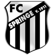 Zur Homepage des FC Springe 1911