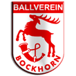 Zur Homepage des BV Bockhorn