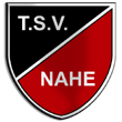 Zur Homepage des TSV Nahe