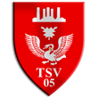 Zur Homepage des TSV 05 Neum&uuml;nster