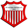Zur Homepage des TSV Lauingen (Teilverein)