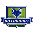 Zur Homepage der SG Findorff