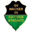 Zur Homepage des SV Wacker Str&ouml;bitz