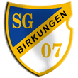 Zur Homepage der SG Birkungen 07