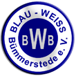 Zur Homepage von Blau-Wei&szlig; B&uuml;mmerstede