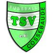 Zur Homepage des TSV Cossebaude