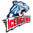 Zur Homepage der Sinupret Ice Tigers Nürnberg