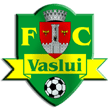 Zur Homepage des FC Vaslui