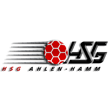 Zur Homepage der HSG Ahlen-Hamm