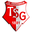 Zur Homepage der TSG Ludwigsburg-Friesenheim