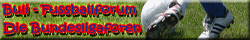 Zur Homepage von Buli-Fussballforum